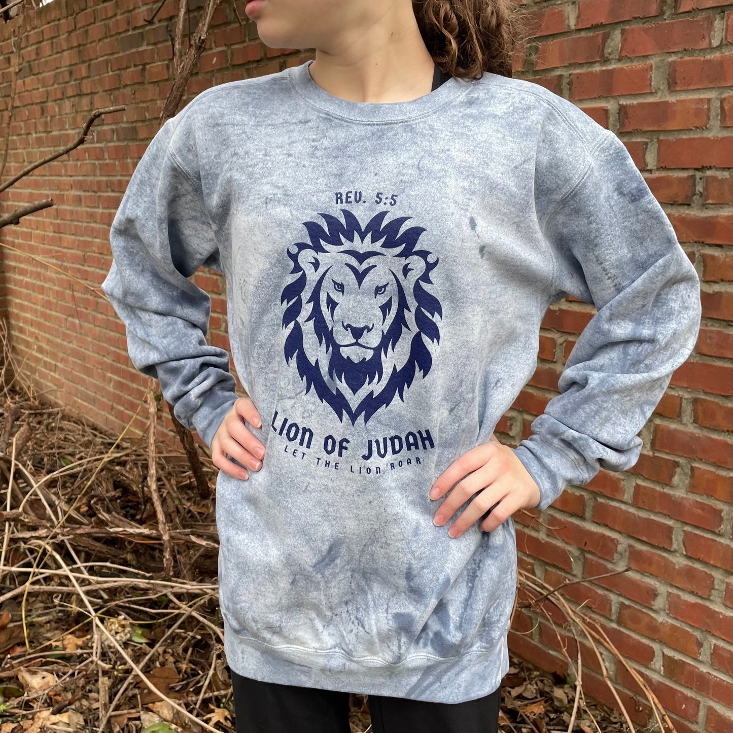 Womens Lion Of Judah Washed Sweatshirt