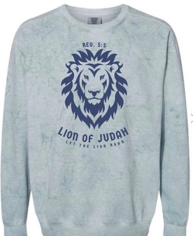 Womens Lion Of Judah Washed Sweatshirt